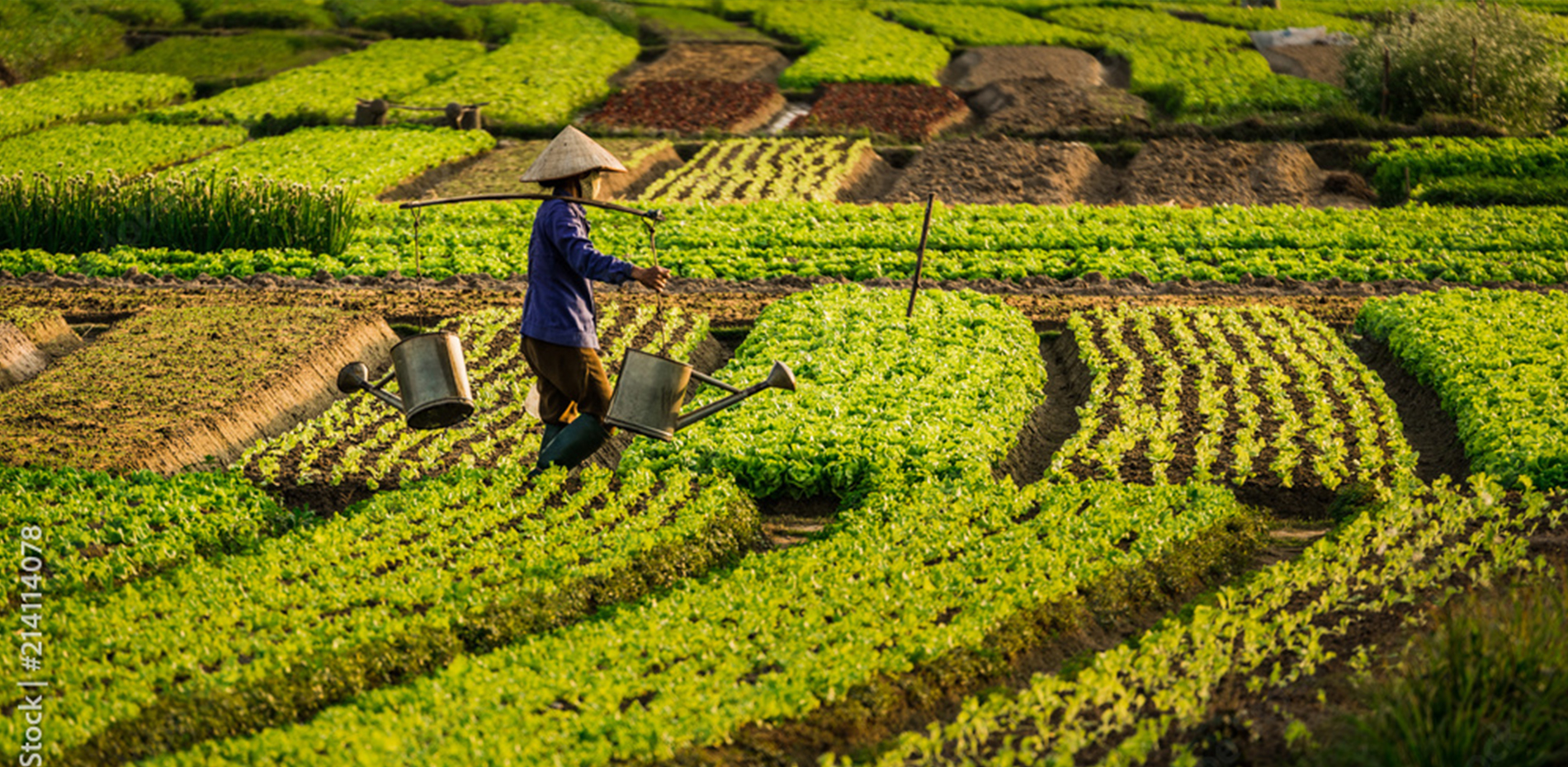 公司产品展示图